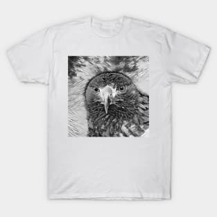 AnimalArtBW Eagle 002 T-Shirt